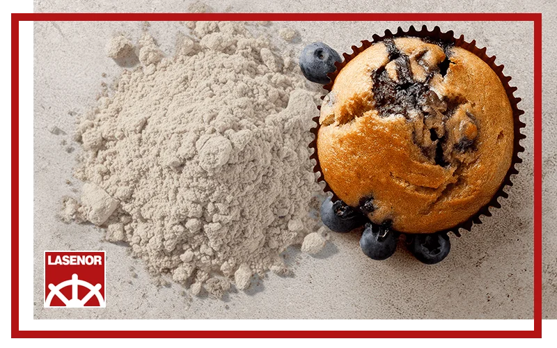 LASENOR® VP-100: Texturizing Plant Protein for Bakery